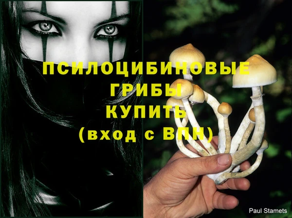 кокс Армянск