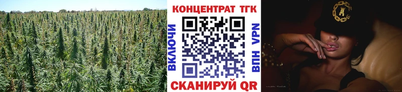 ссылка на мегу Магадан ТГК гашишное масло